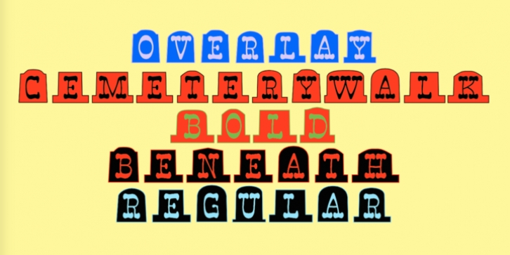 tracking: {
            'Country Code': 'US',
            'Language Code': 'EN-US',
            'Email Hash': 'unknown',
            'Vendor User Id': 'unknown',
            'Vendor Id': 'unknown',
            'Customer Type': '',
            'Offer Code font preview